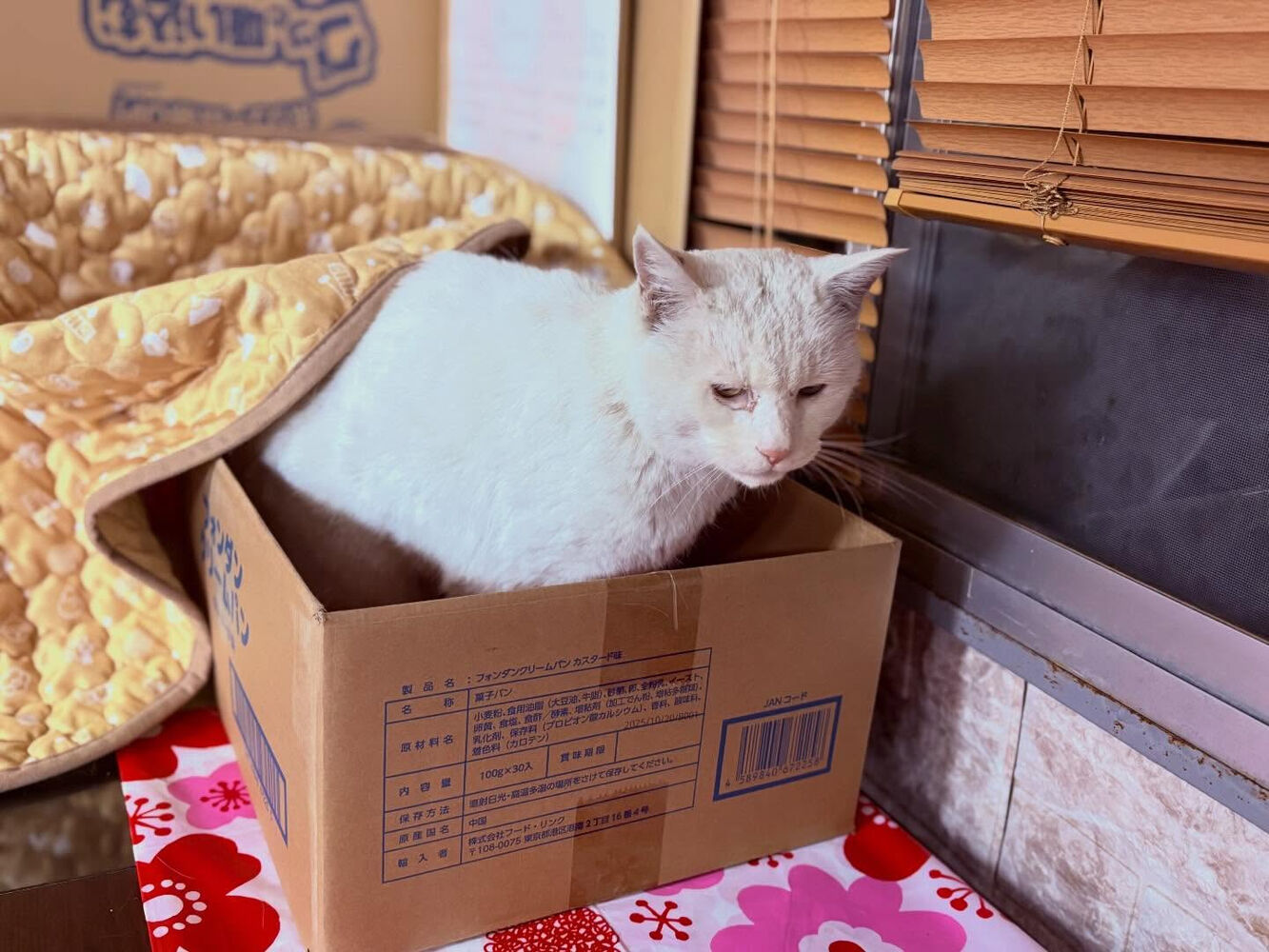 ブログ