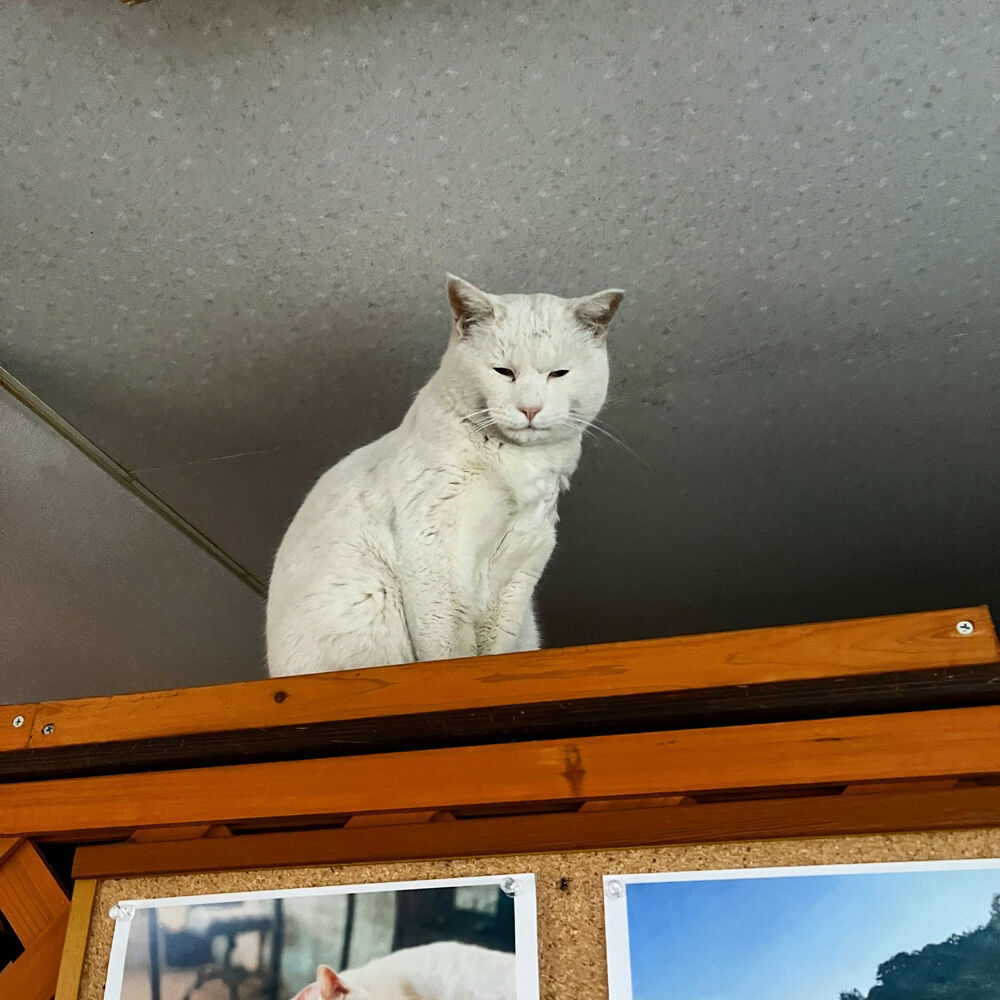 ブログ