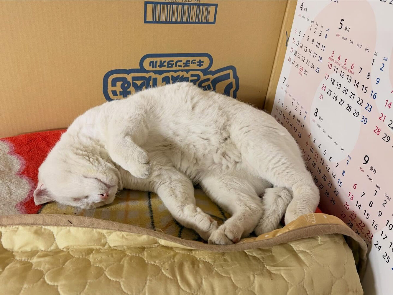 ブログ