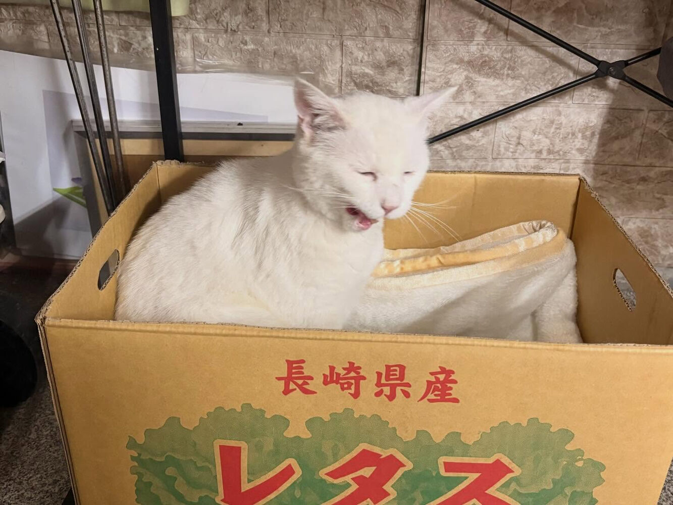 ブログ