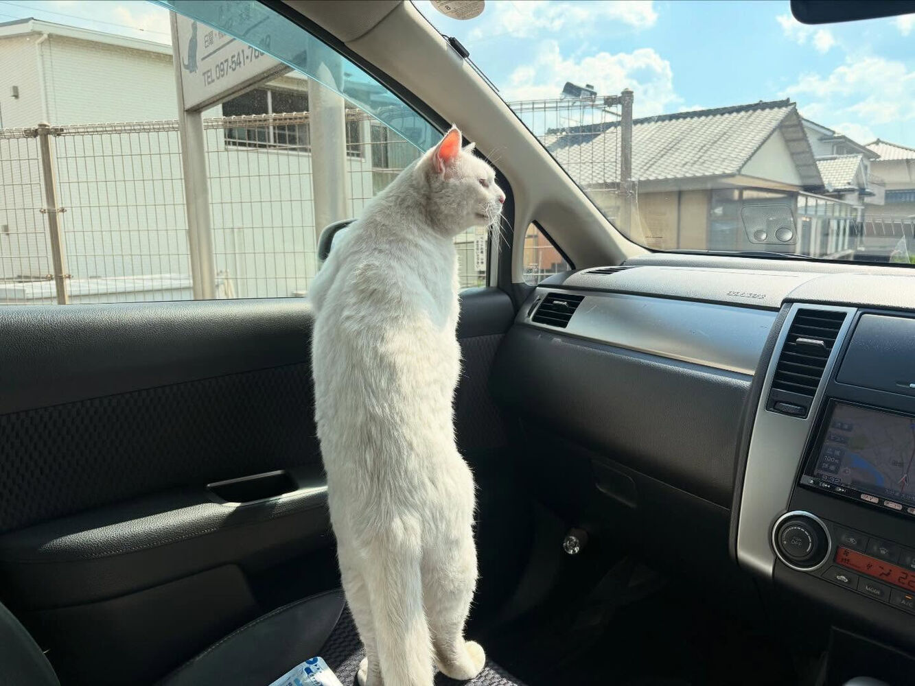 ブログ