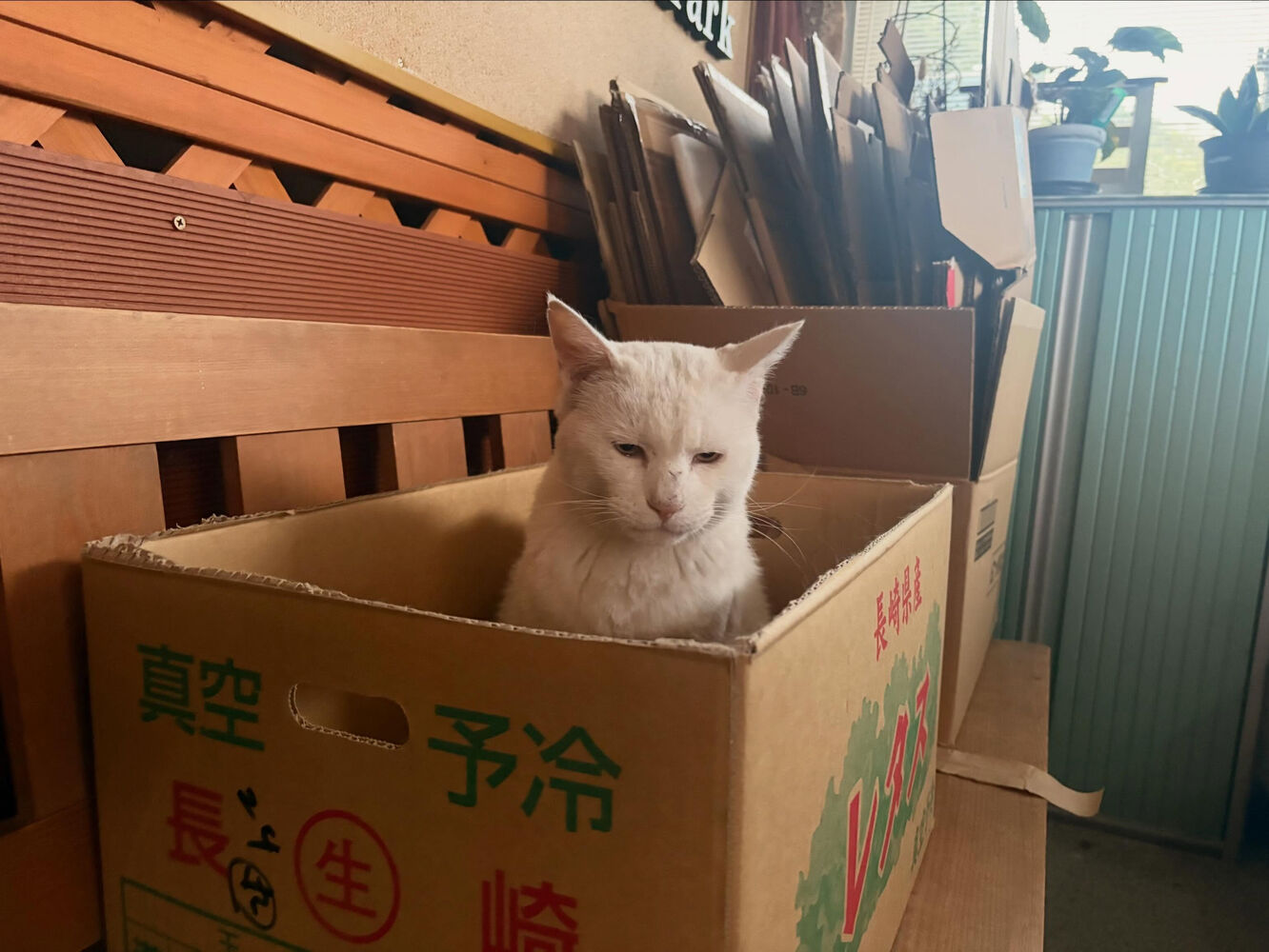 ブログ