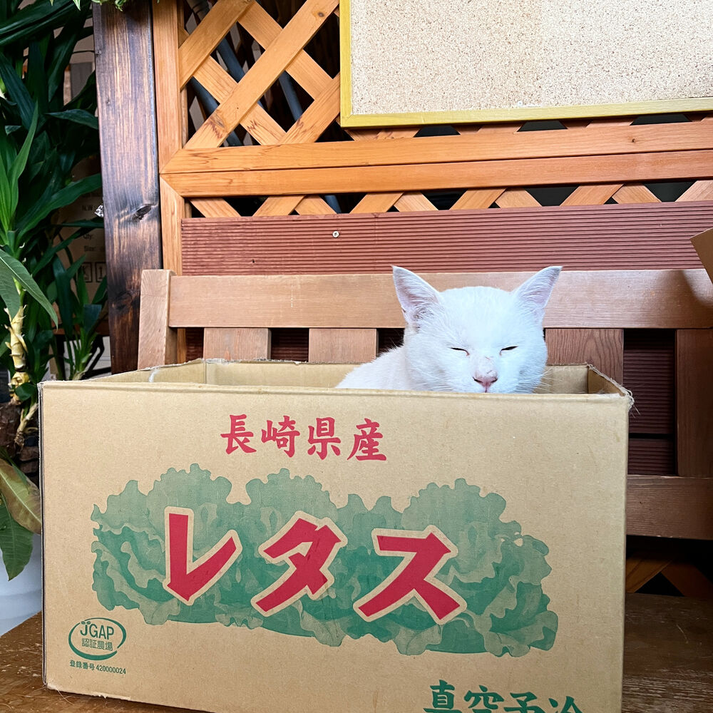 ブログ