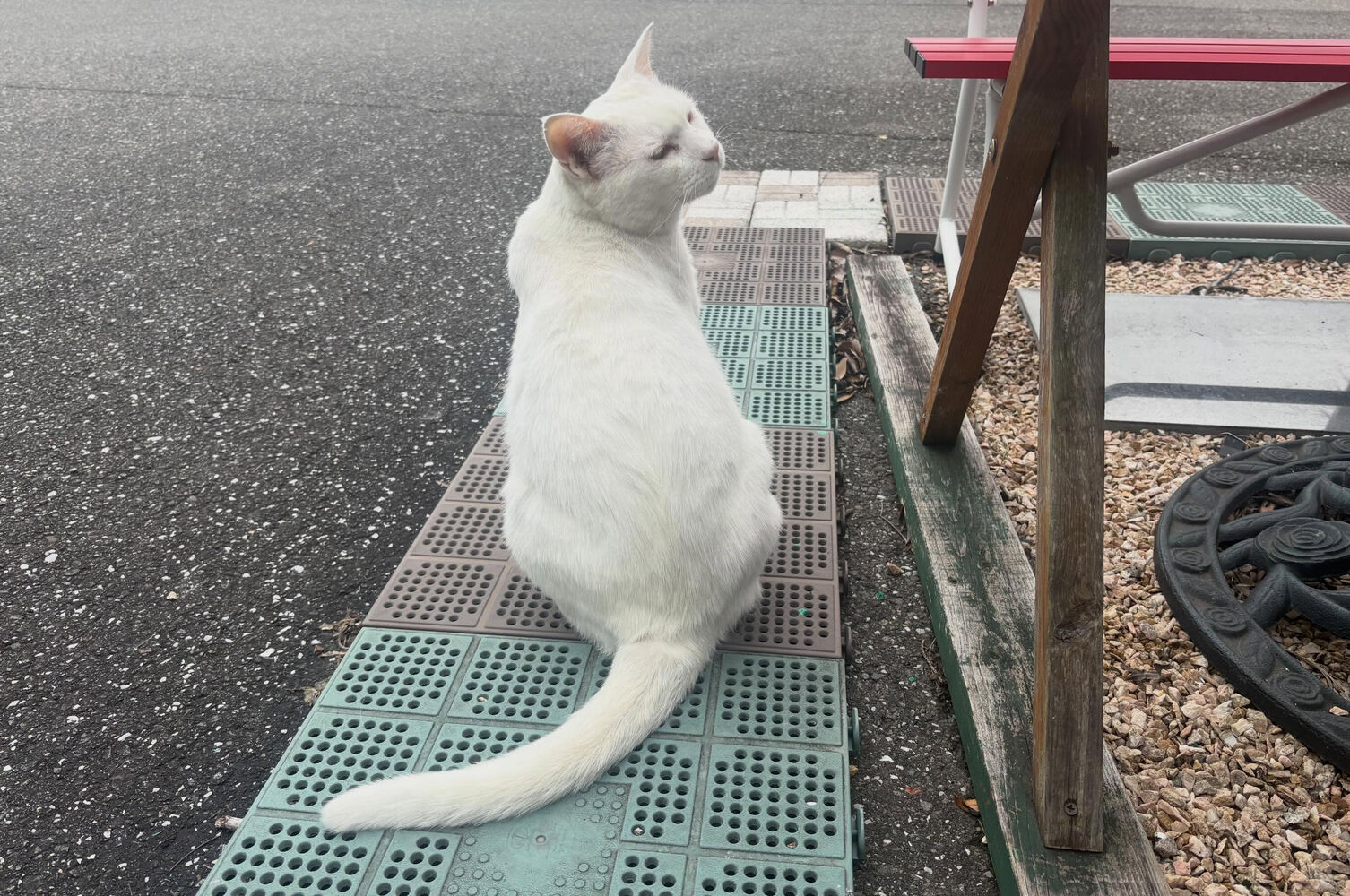 ブログ