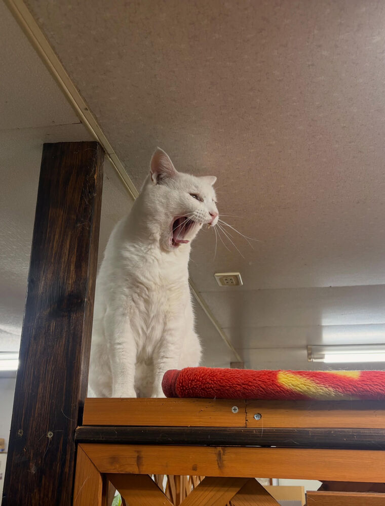 ブログ