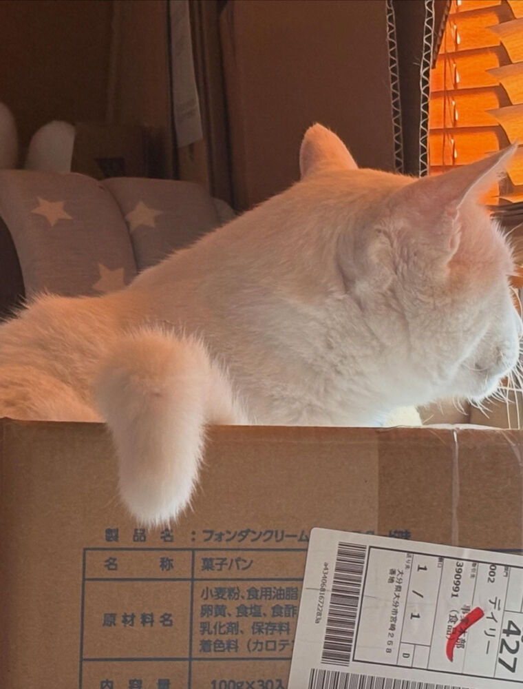 ブログ