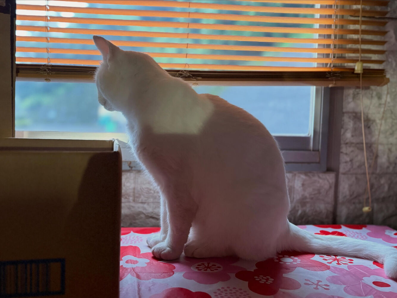 ブログ