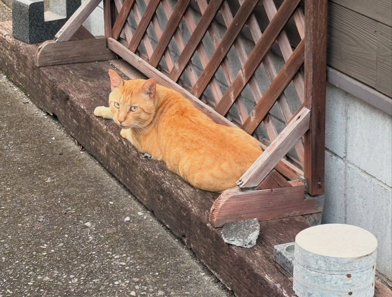 ブログ
