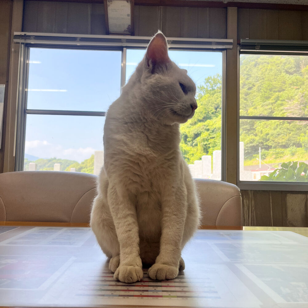 ブログ