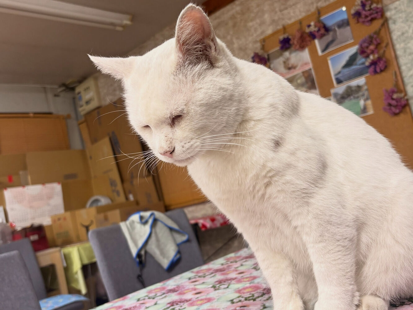 ブログ