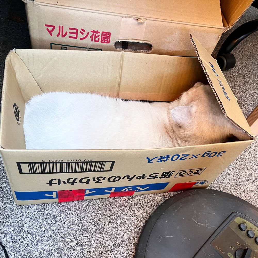 ブログ