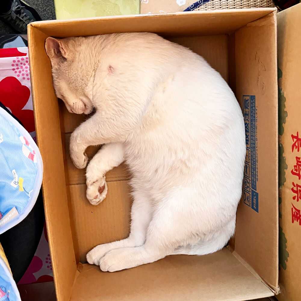 ブログ