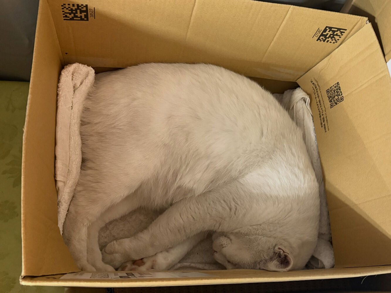 ブログ