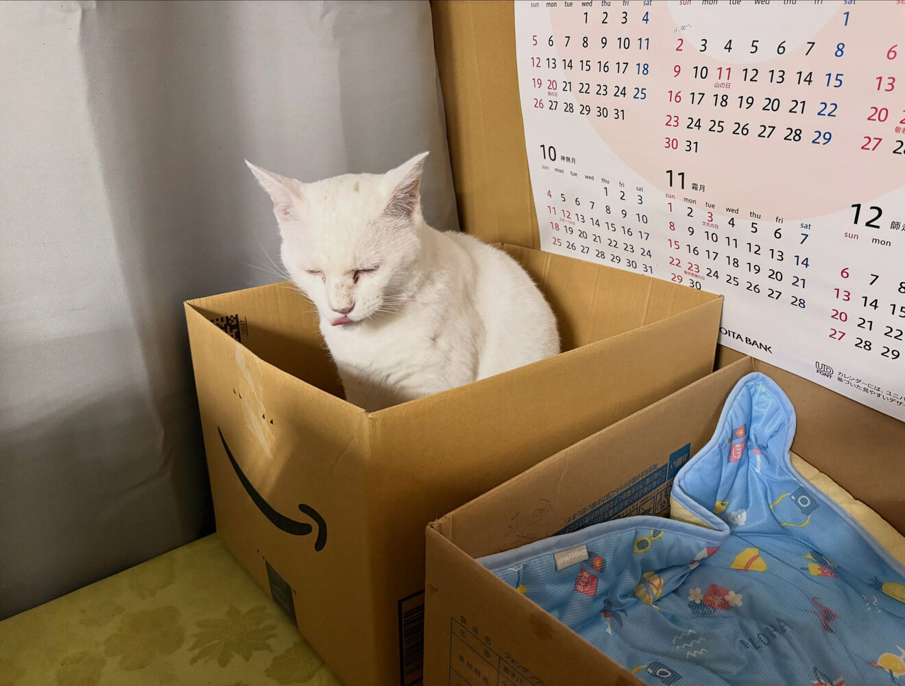 ブログ
