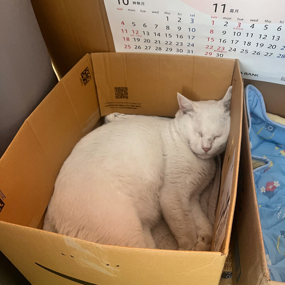 ブログ