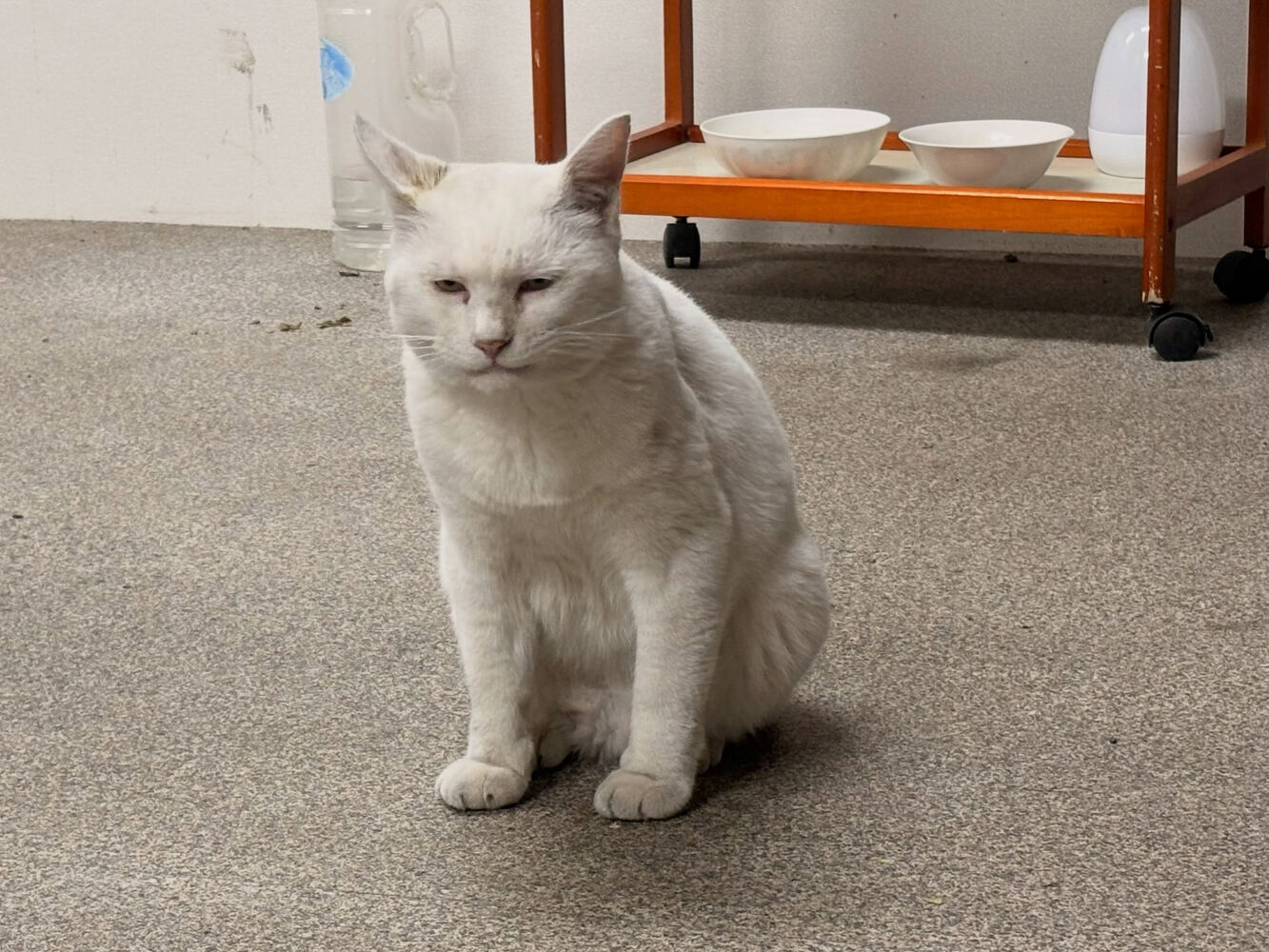 ブログ