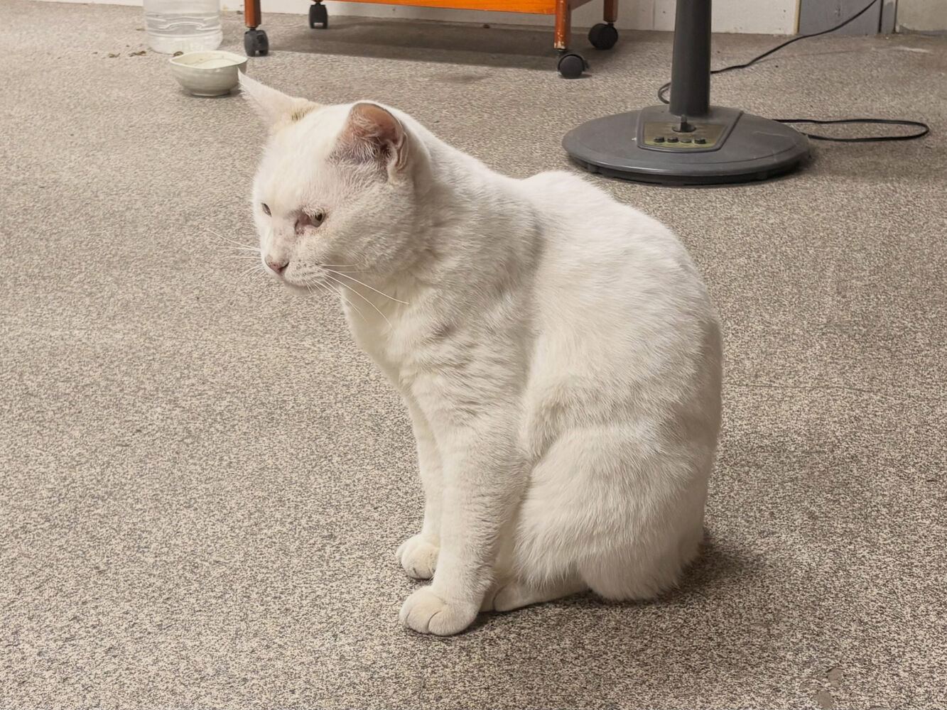 ブログ