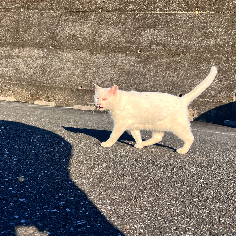 ブログ
