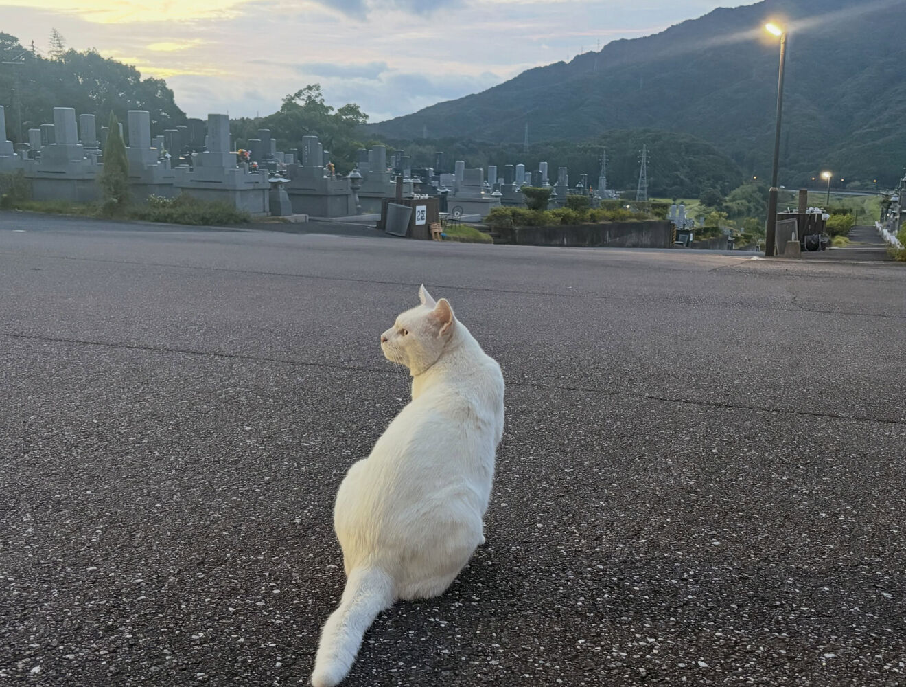 ブログ