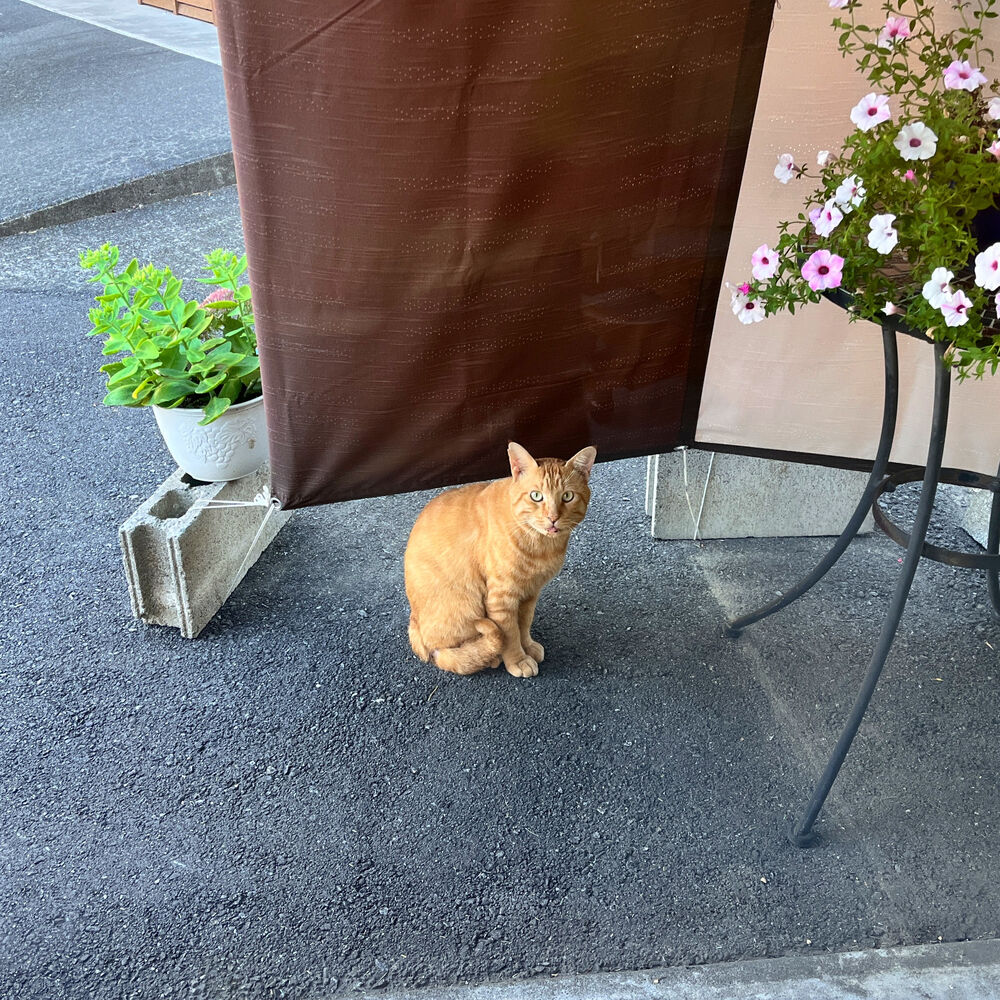 ブログ