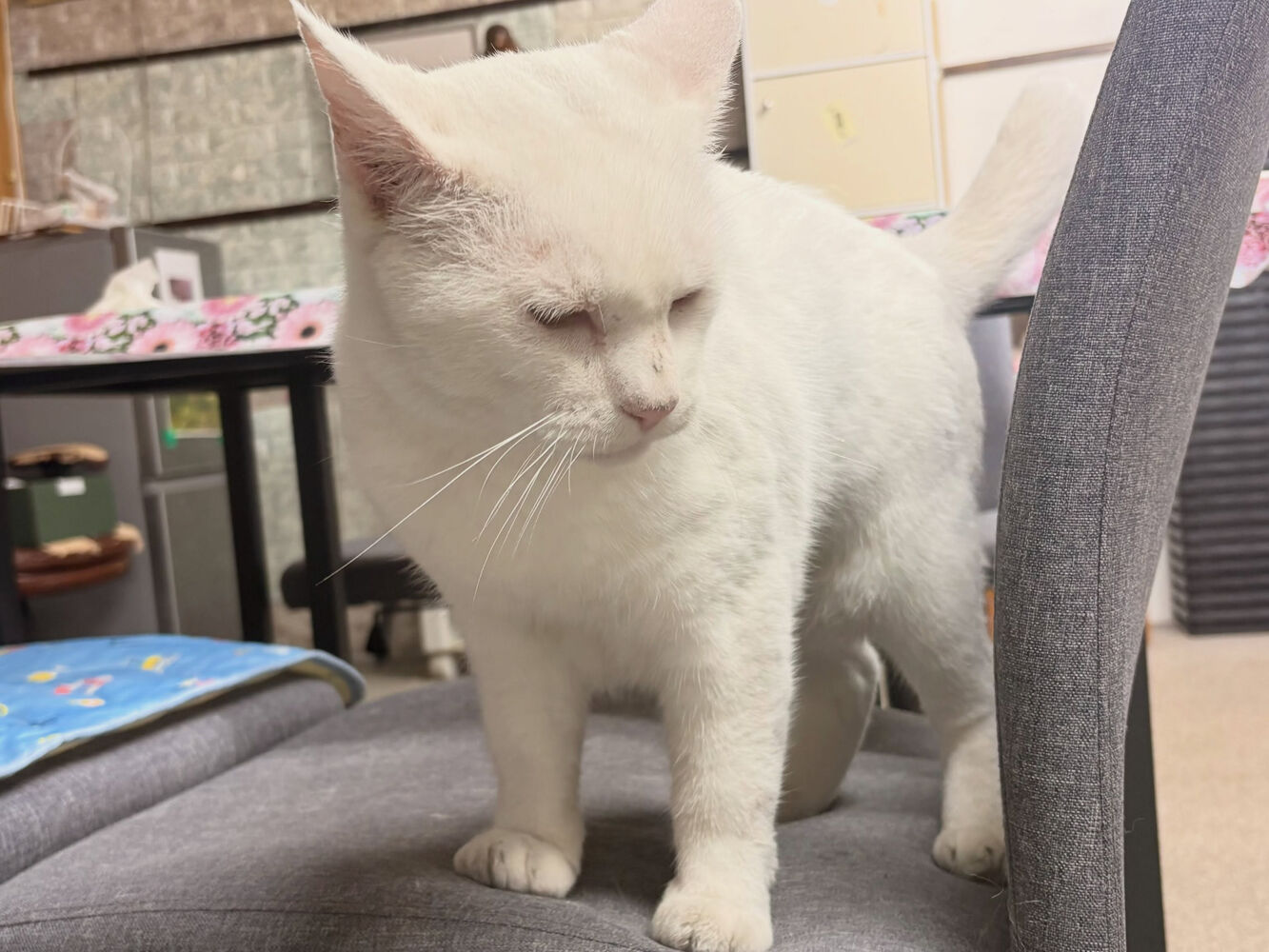 ブログ