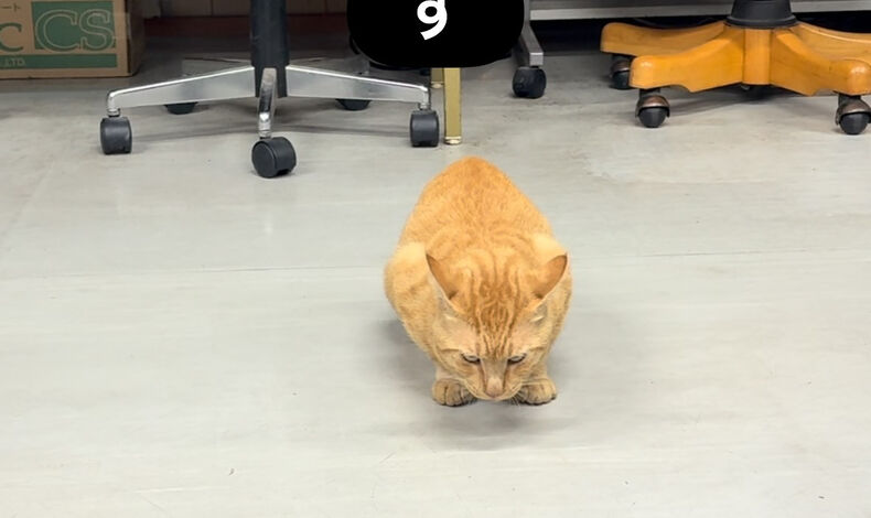 ブログ