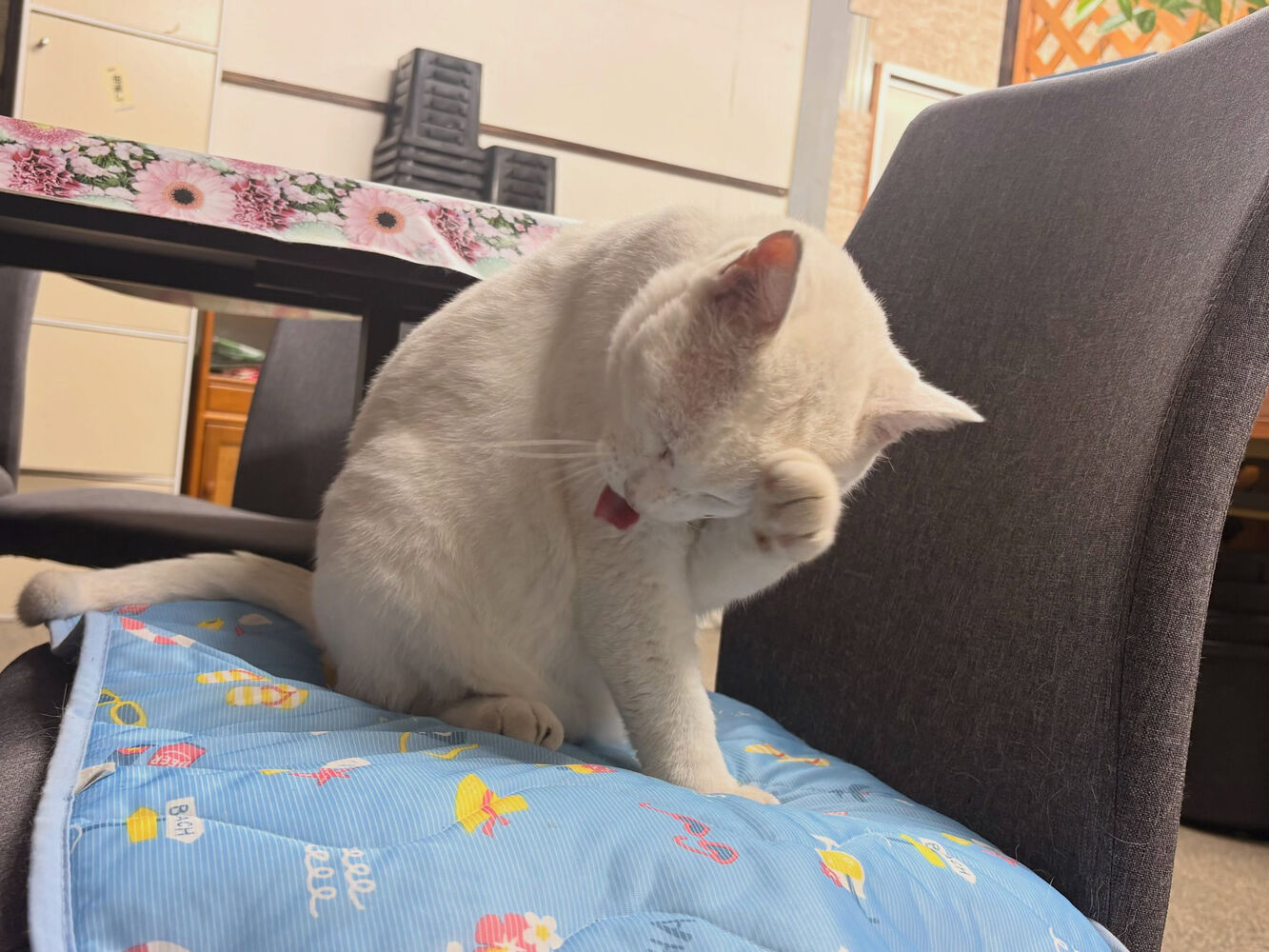 ブログ