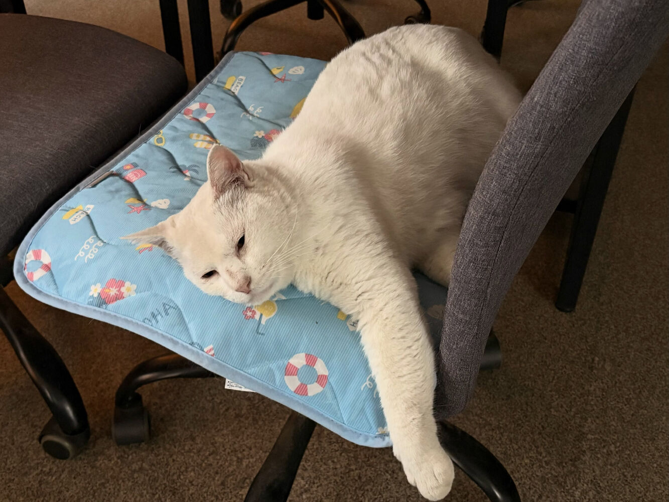 ブログ