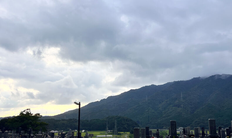 ブログ