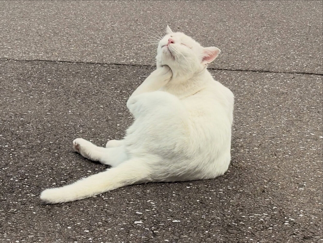 ブログ