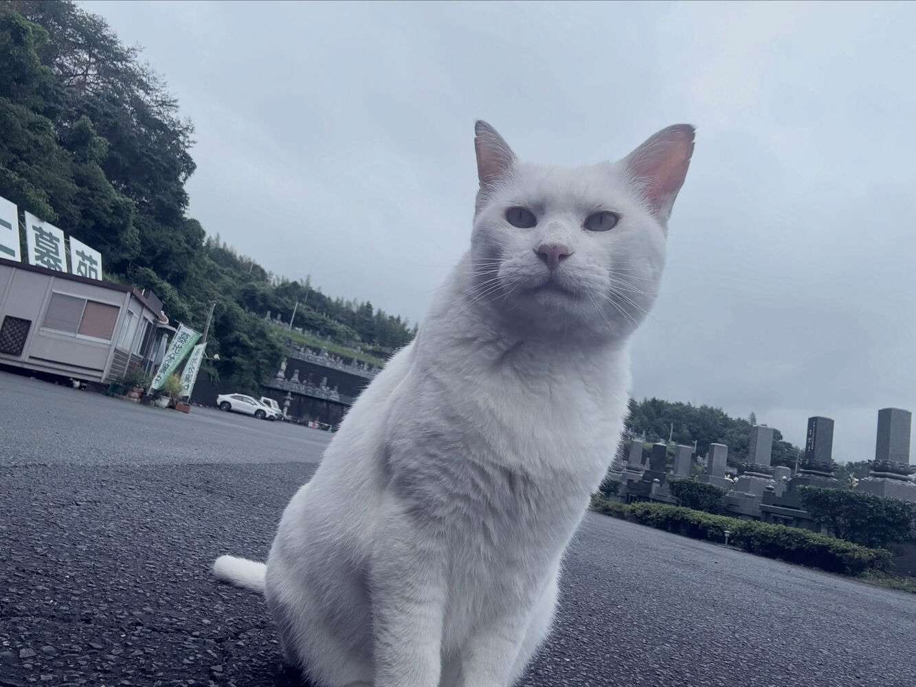 ブログ