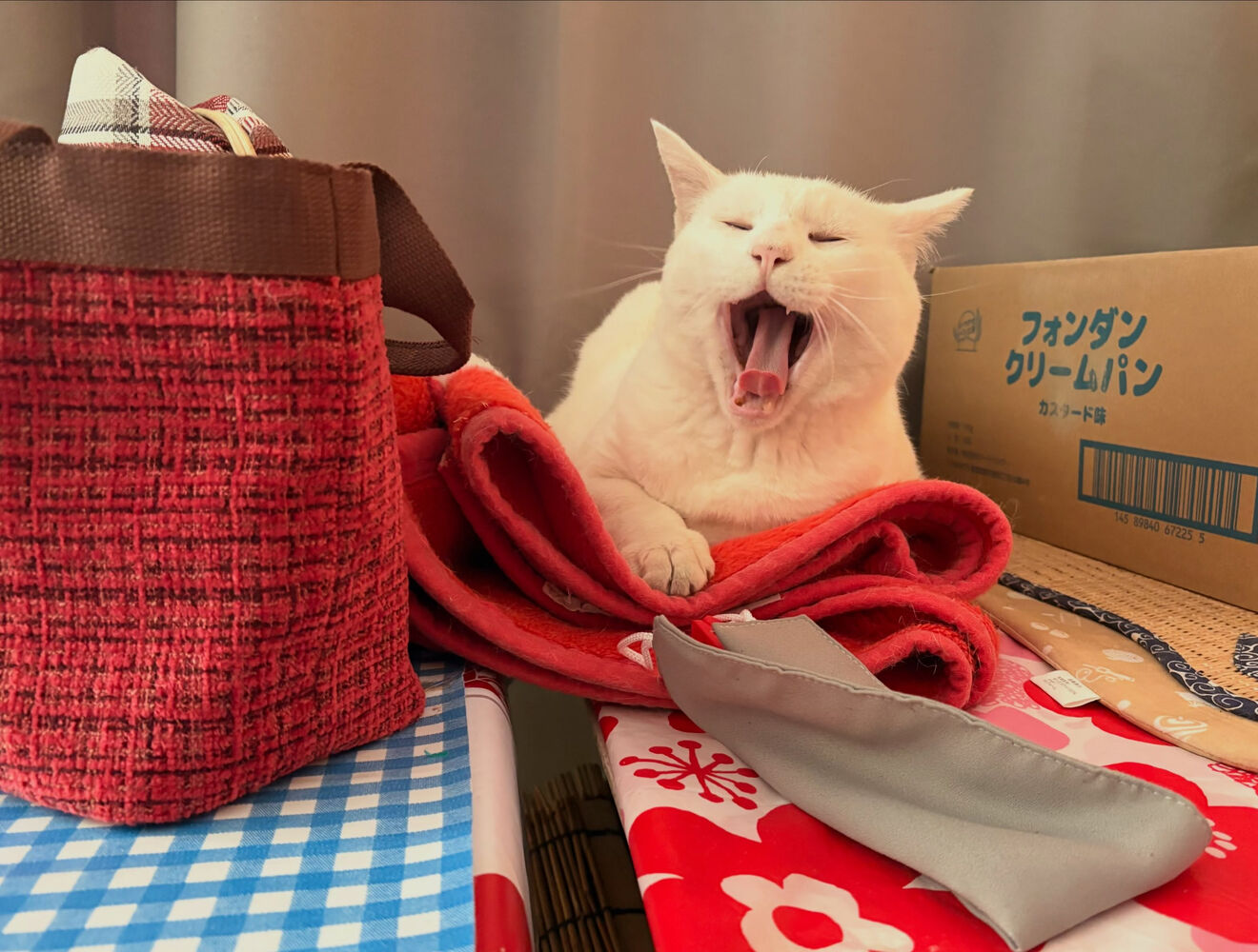 ブログ