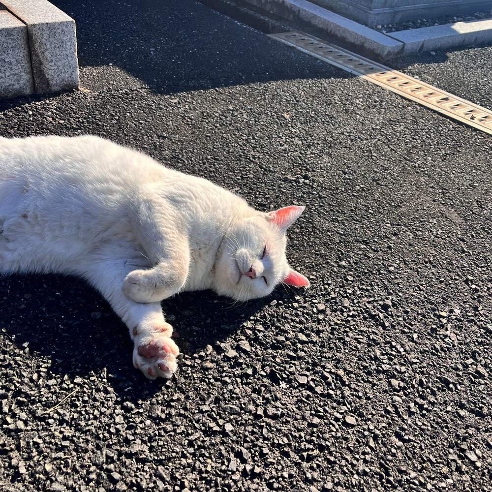 ブログ