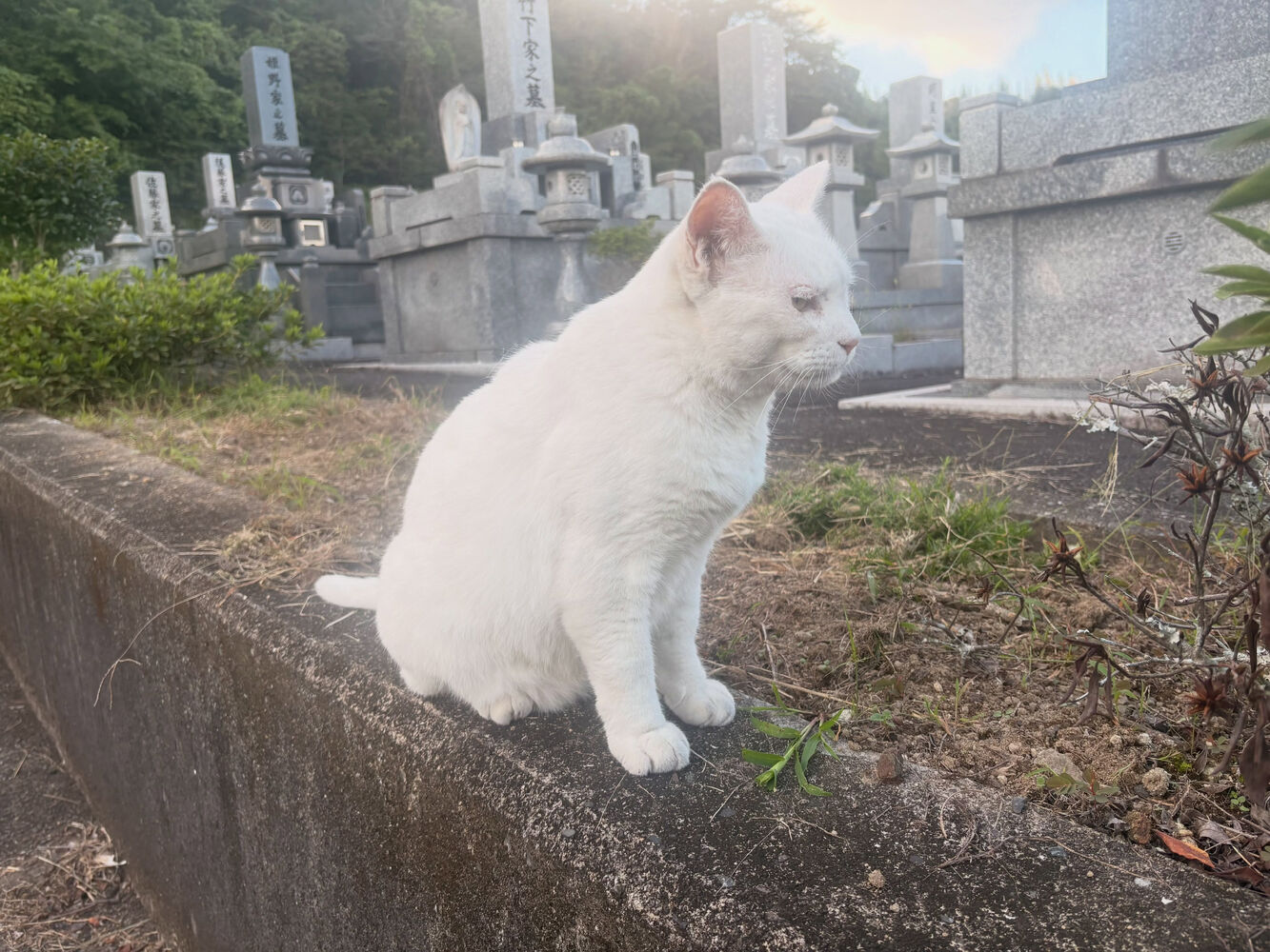 ブログ