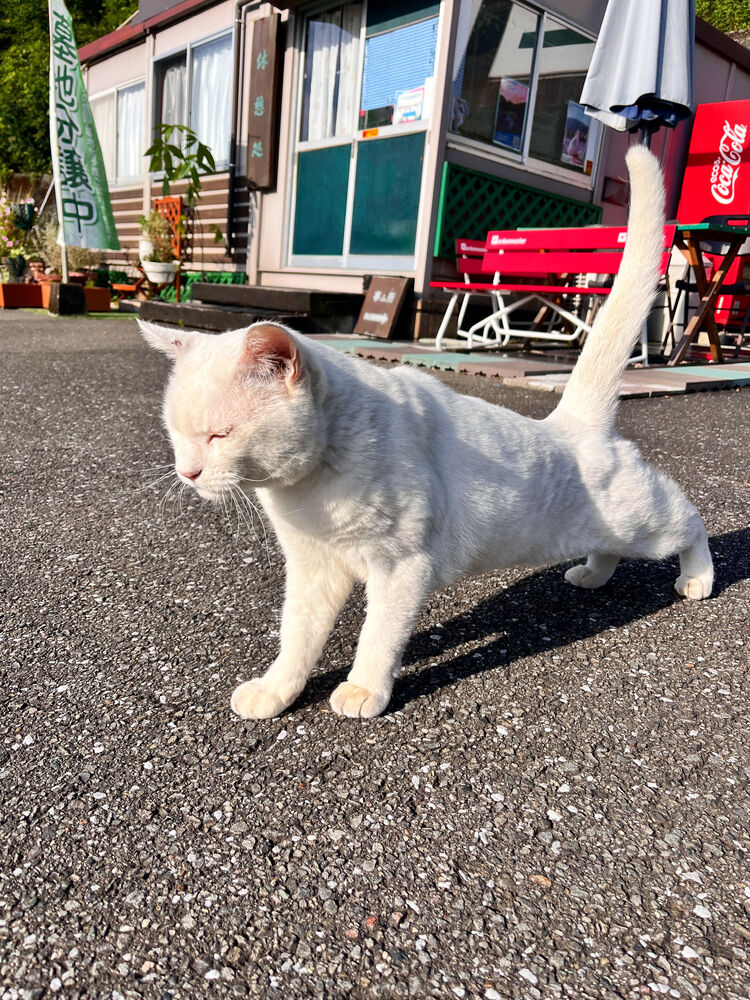 ブログ