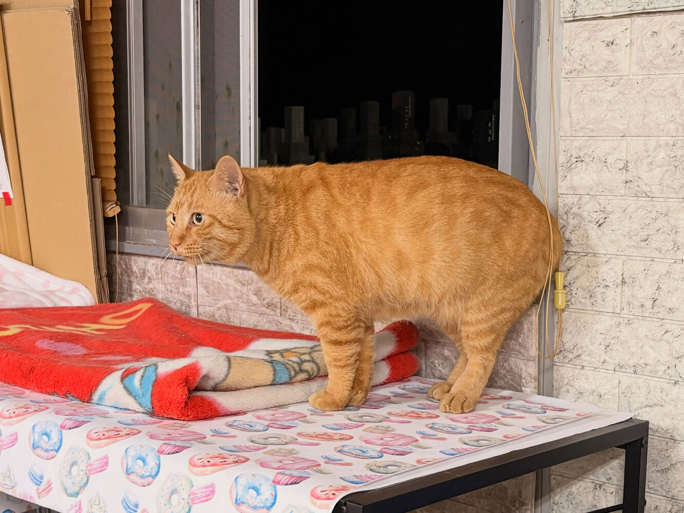 ブログ