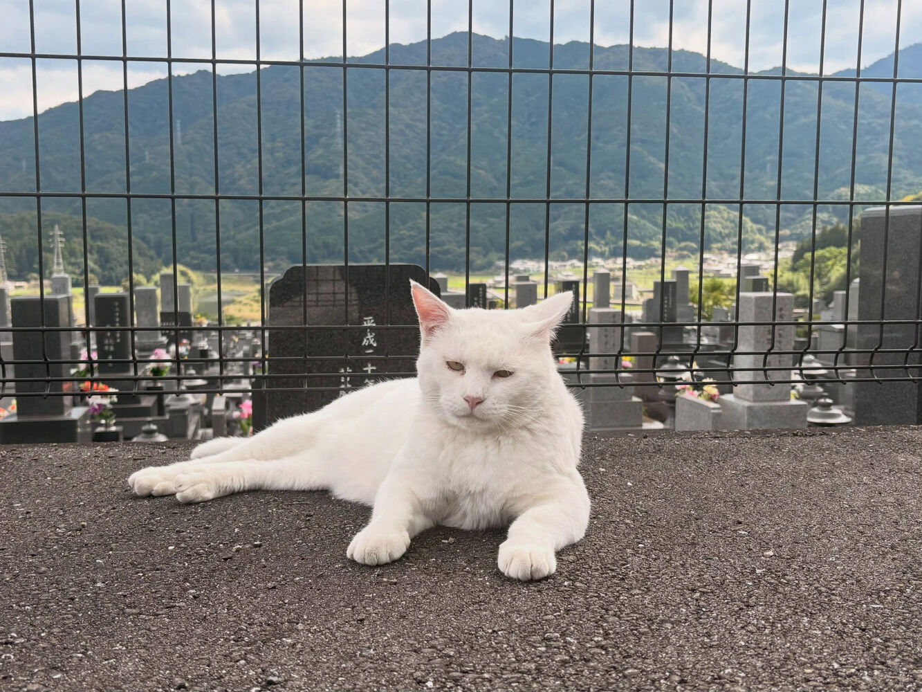 ブログ