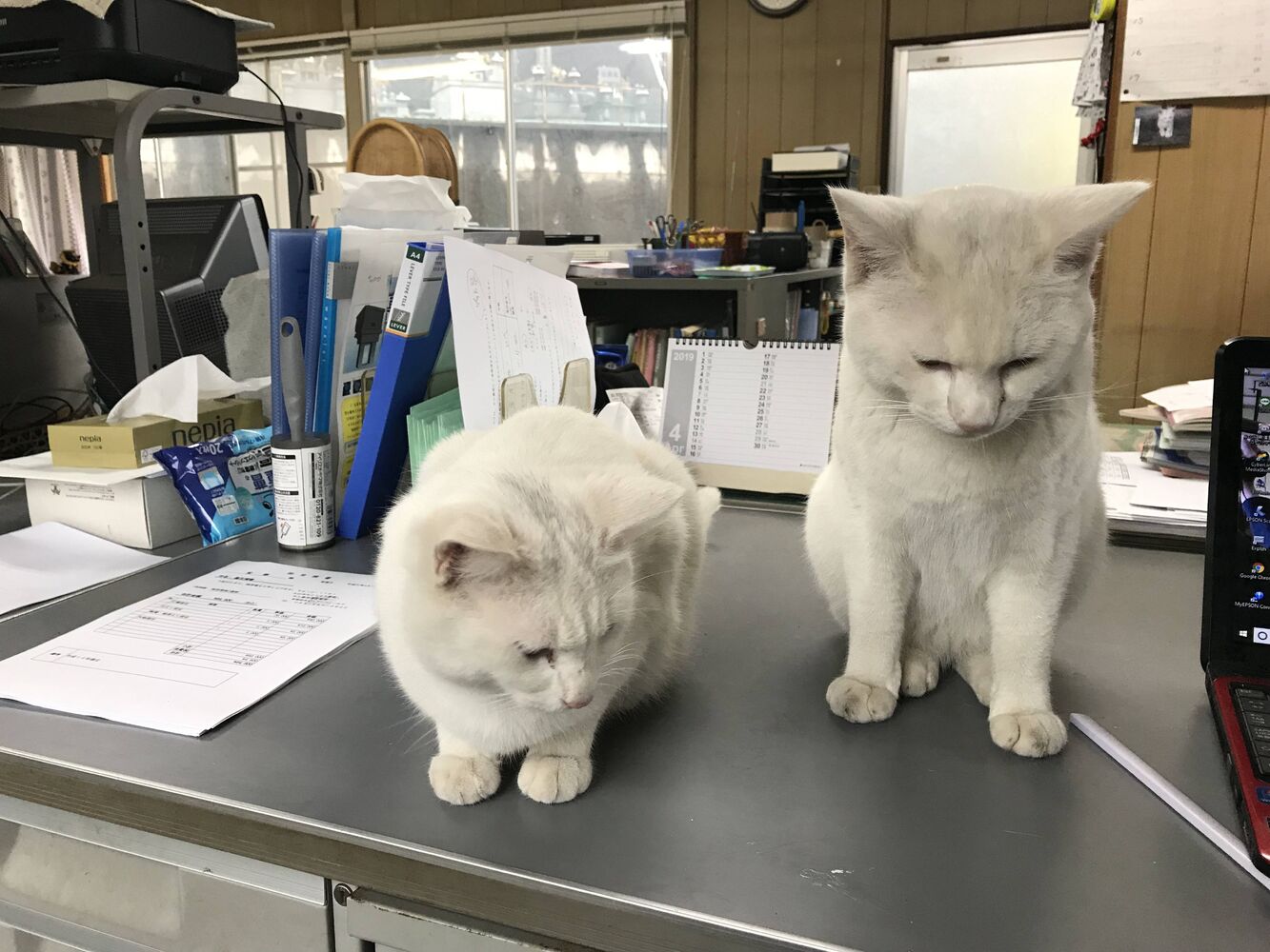 ブログ