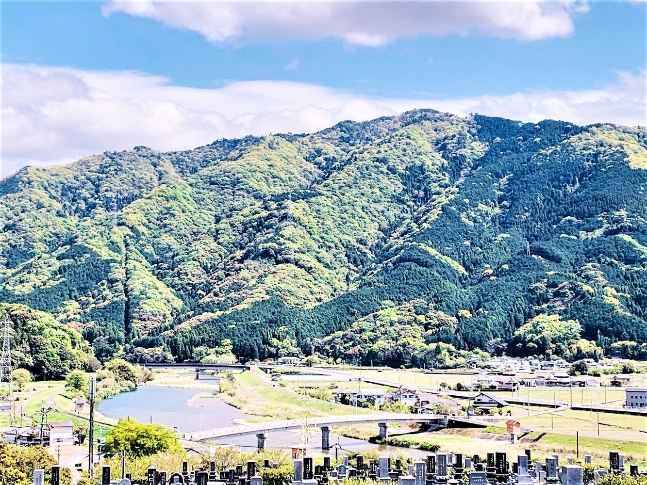 ブログ