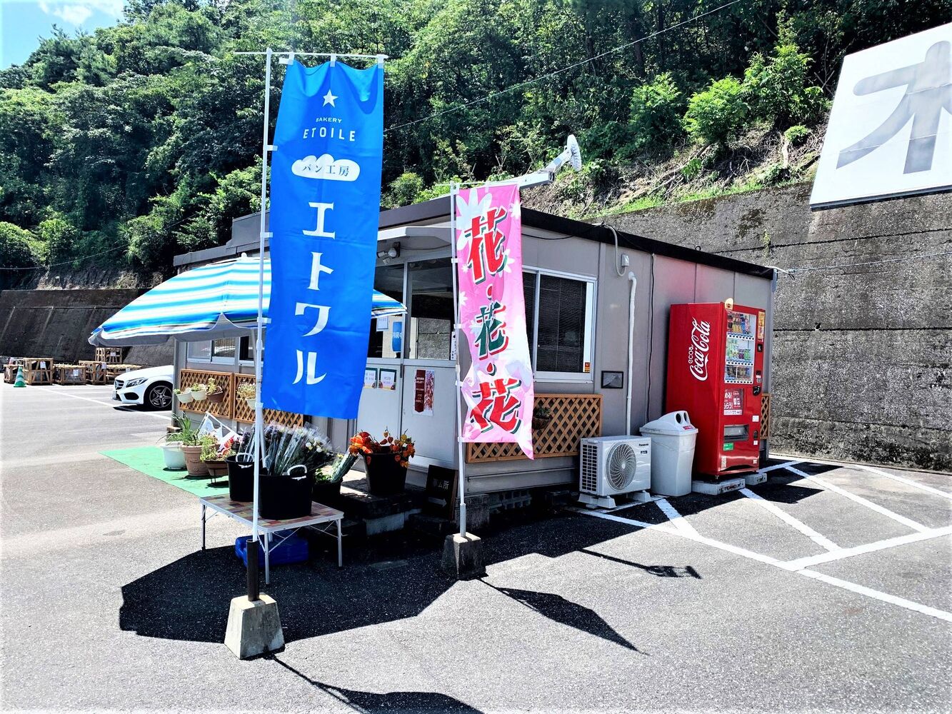 ブログ