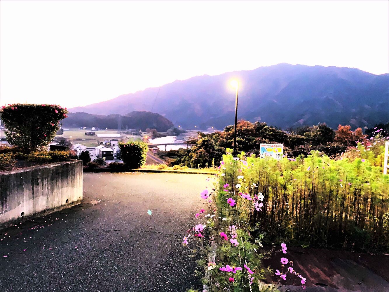 ブログ