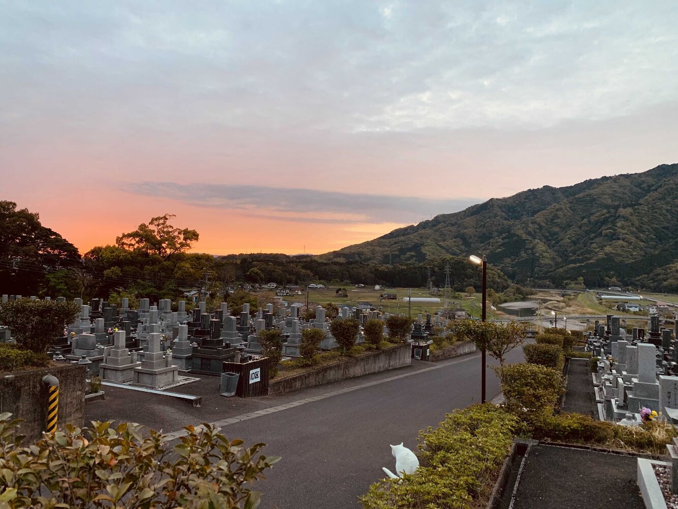 ブログ