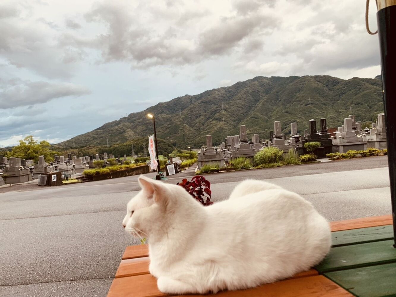 ブログ