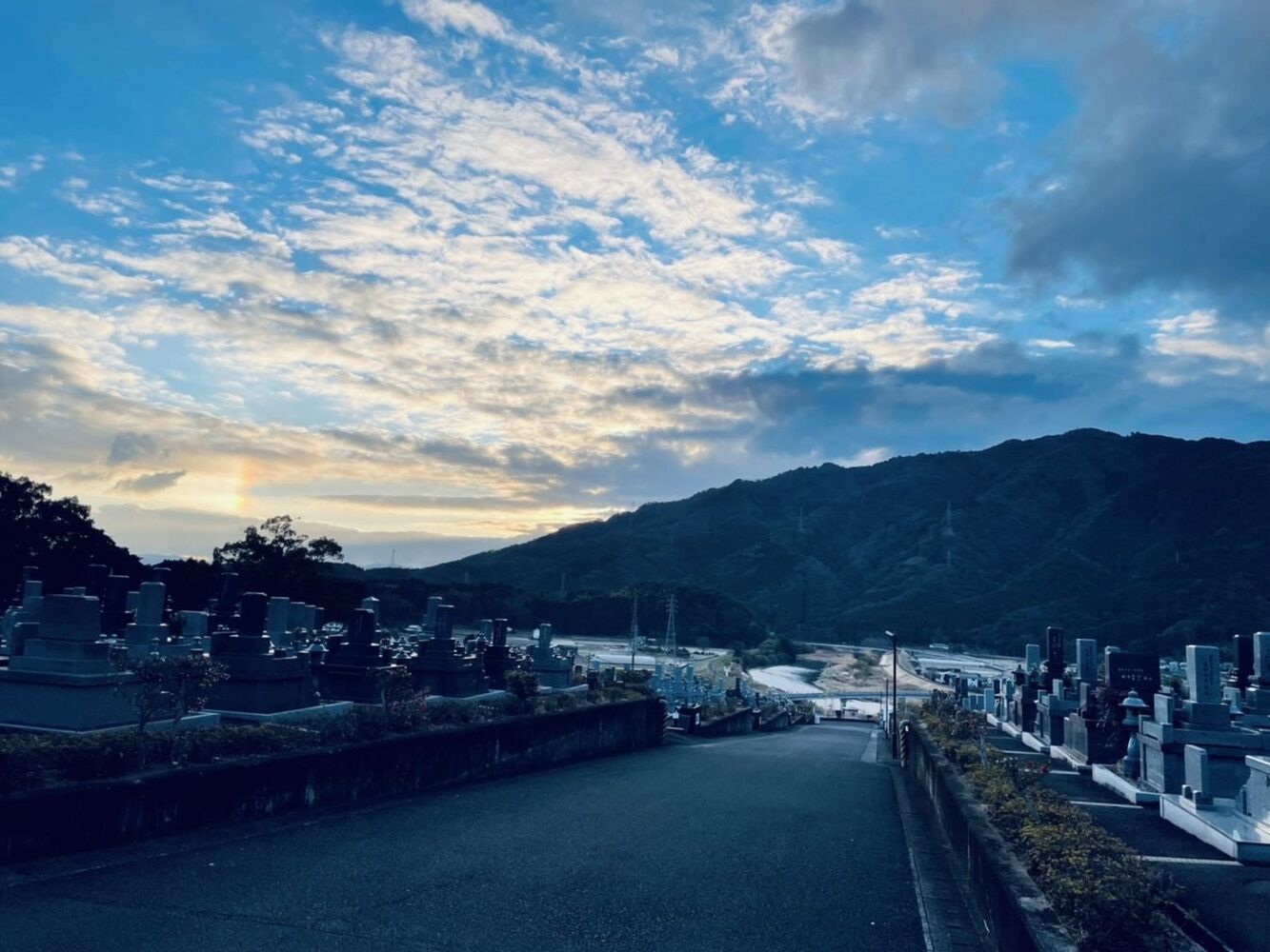 ブログ