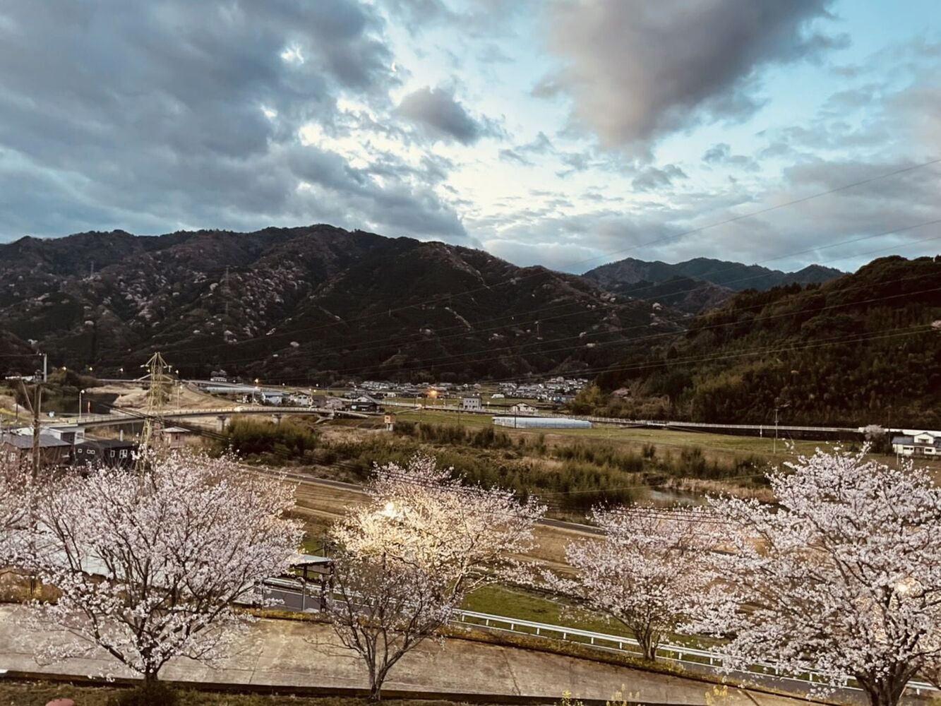 ブログ