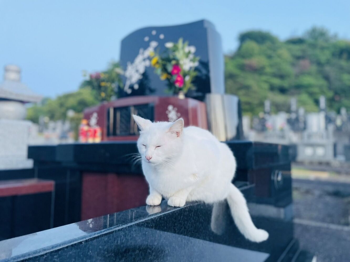ブログ
