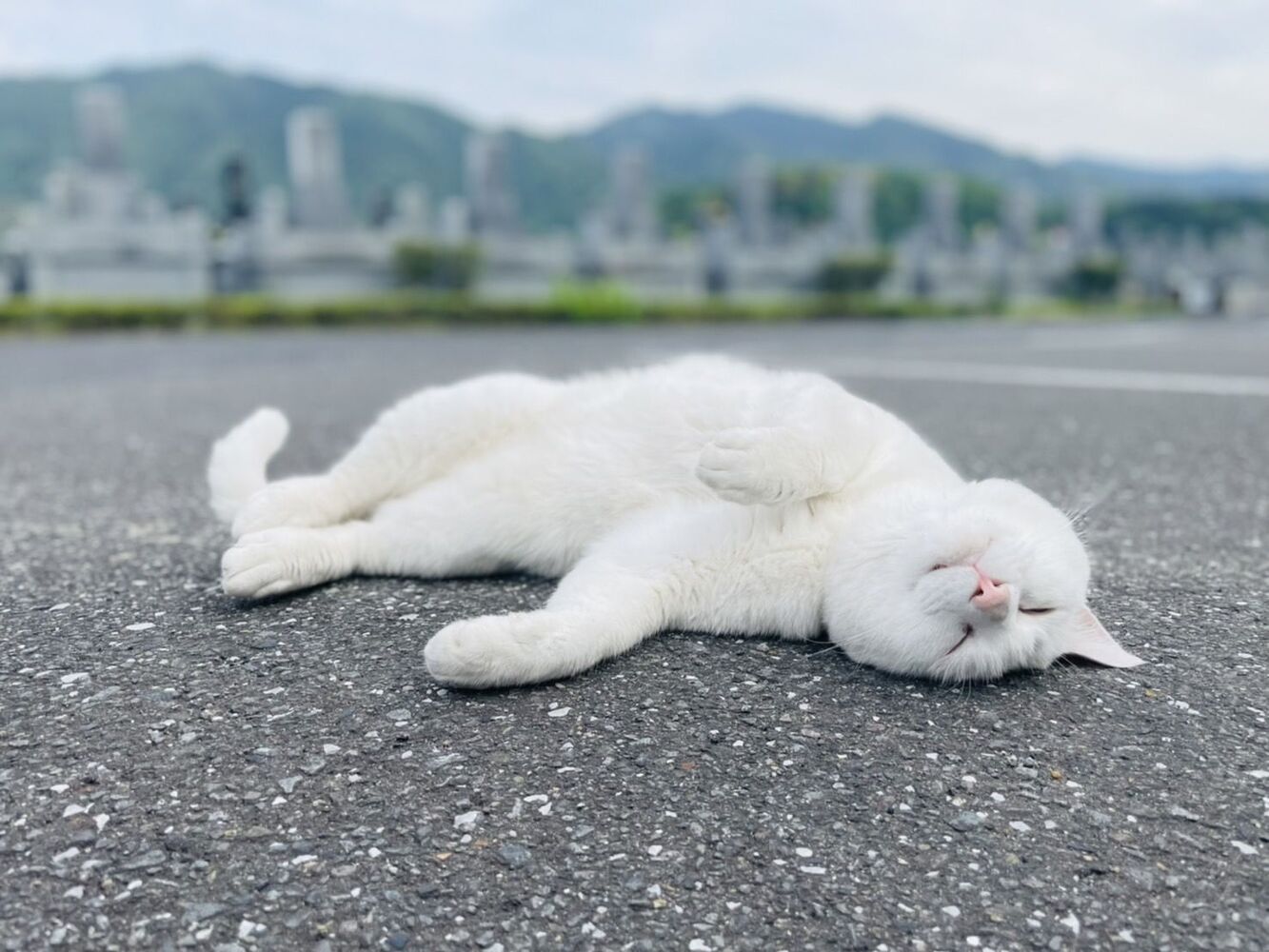 ブログ