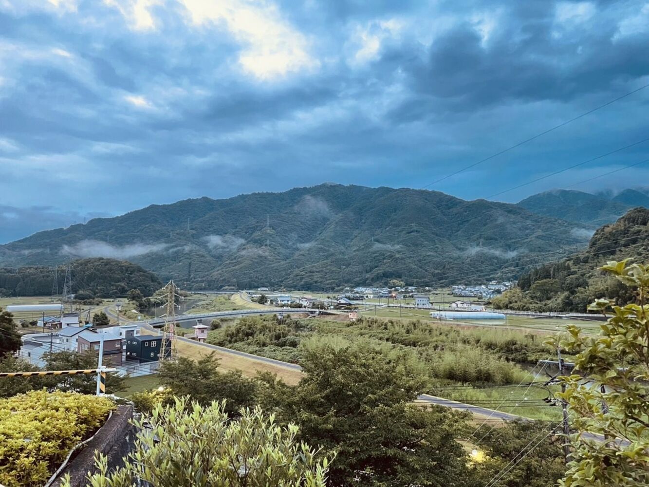 ブログ
