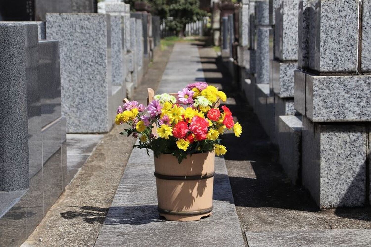 ブログ