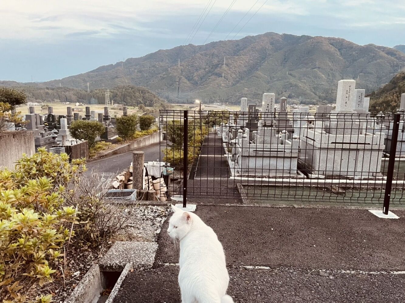 ブログ